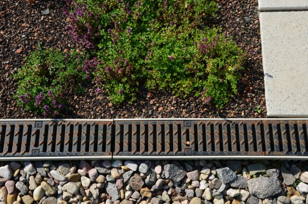 Cost of Landscaping Drainage Installation in Webster