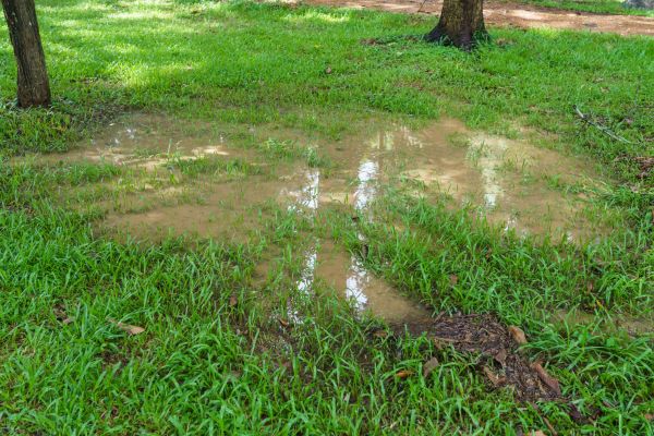 Cost of Storm Water Drainage Service in Webster