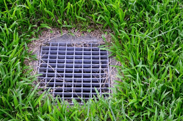 Cost of Yard Water Drainage in Webster