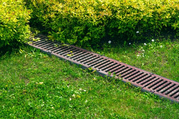 Cost of Lawn Drainage in Webster