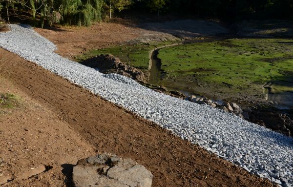 Cost of Landscape Swales Installation in Webster