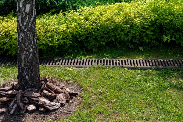 Cost of Wet Yard Drainage in Webster