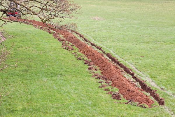 Cost of Swale Installation in Webster