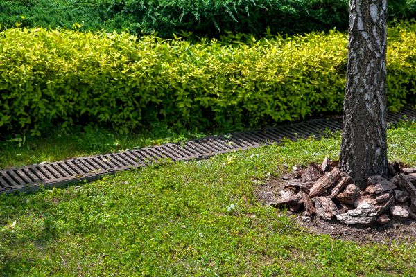 Cost of Residential Landscape Drainage in Webster