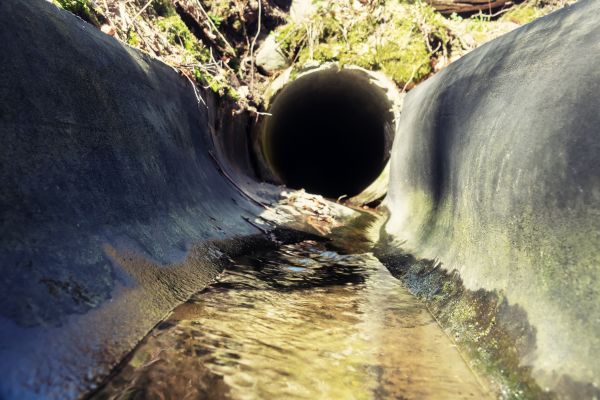 Cost of Drainage Swale Installation in Webster