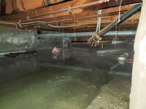 Cost of Crawlspace Drainage in Webster